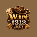 win1313.bet game